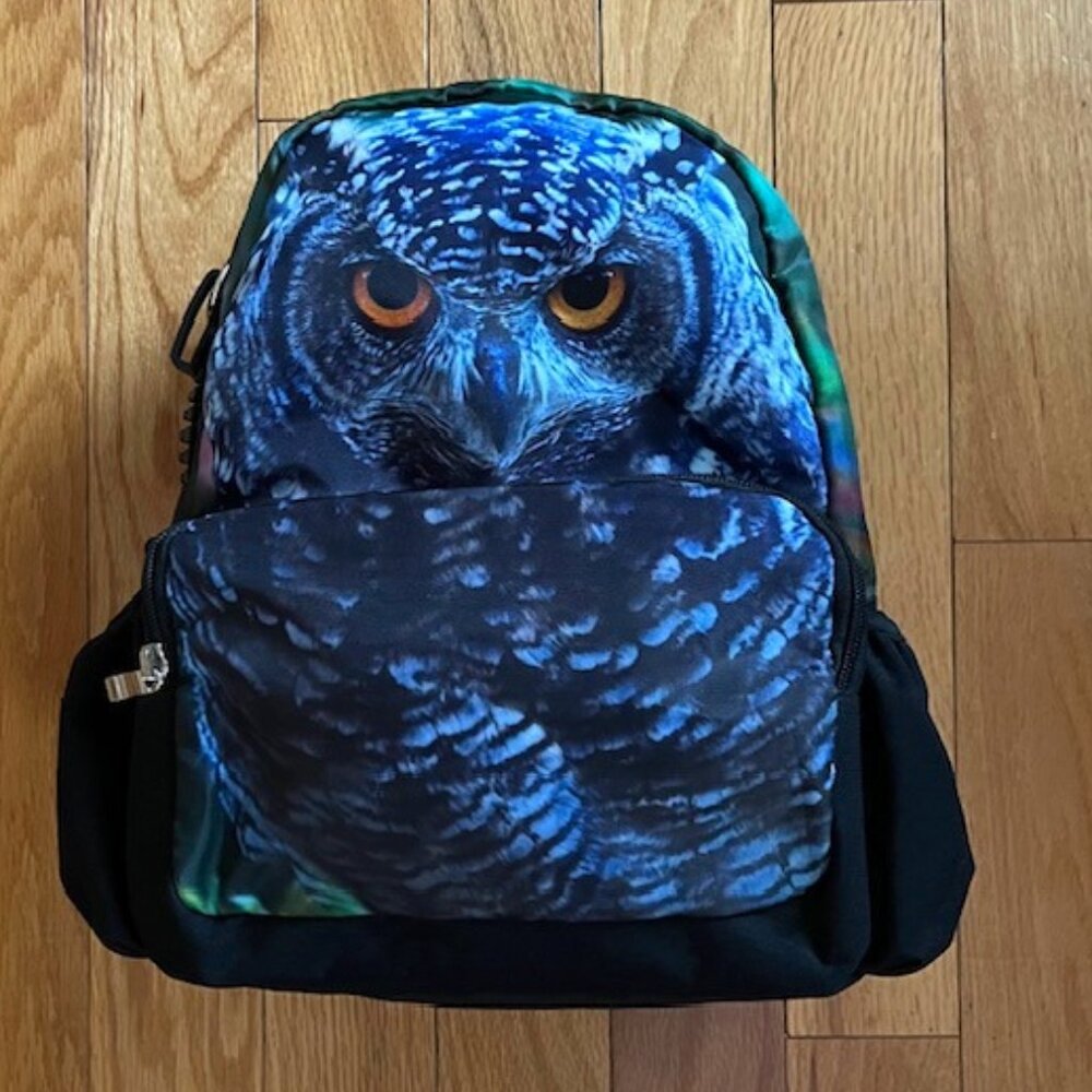 Owl Backpack by Bistar Galaxy